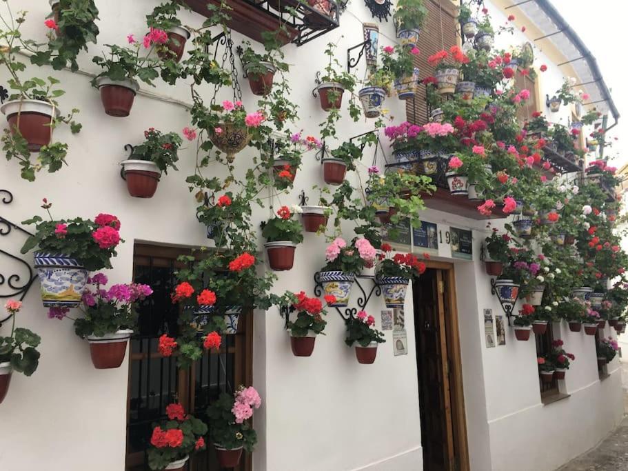 Apartamento El Rincon De La Verdad Córdova Exterior foto